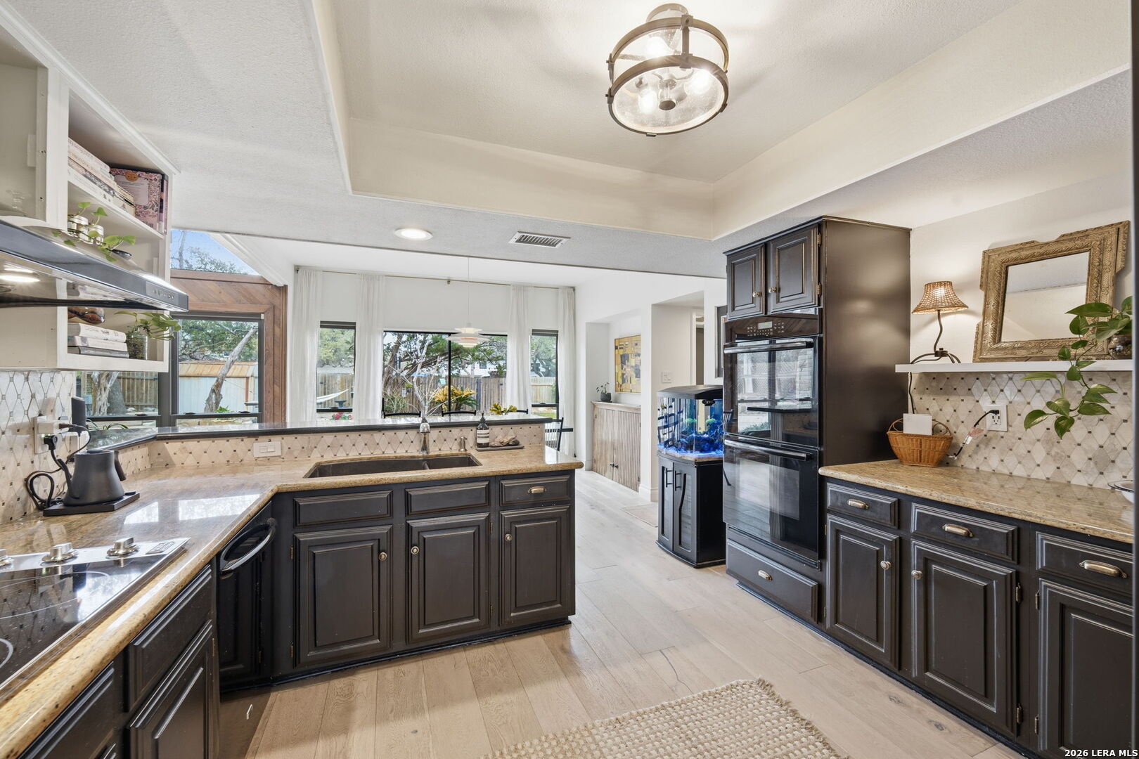 2623 Turkey Oak