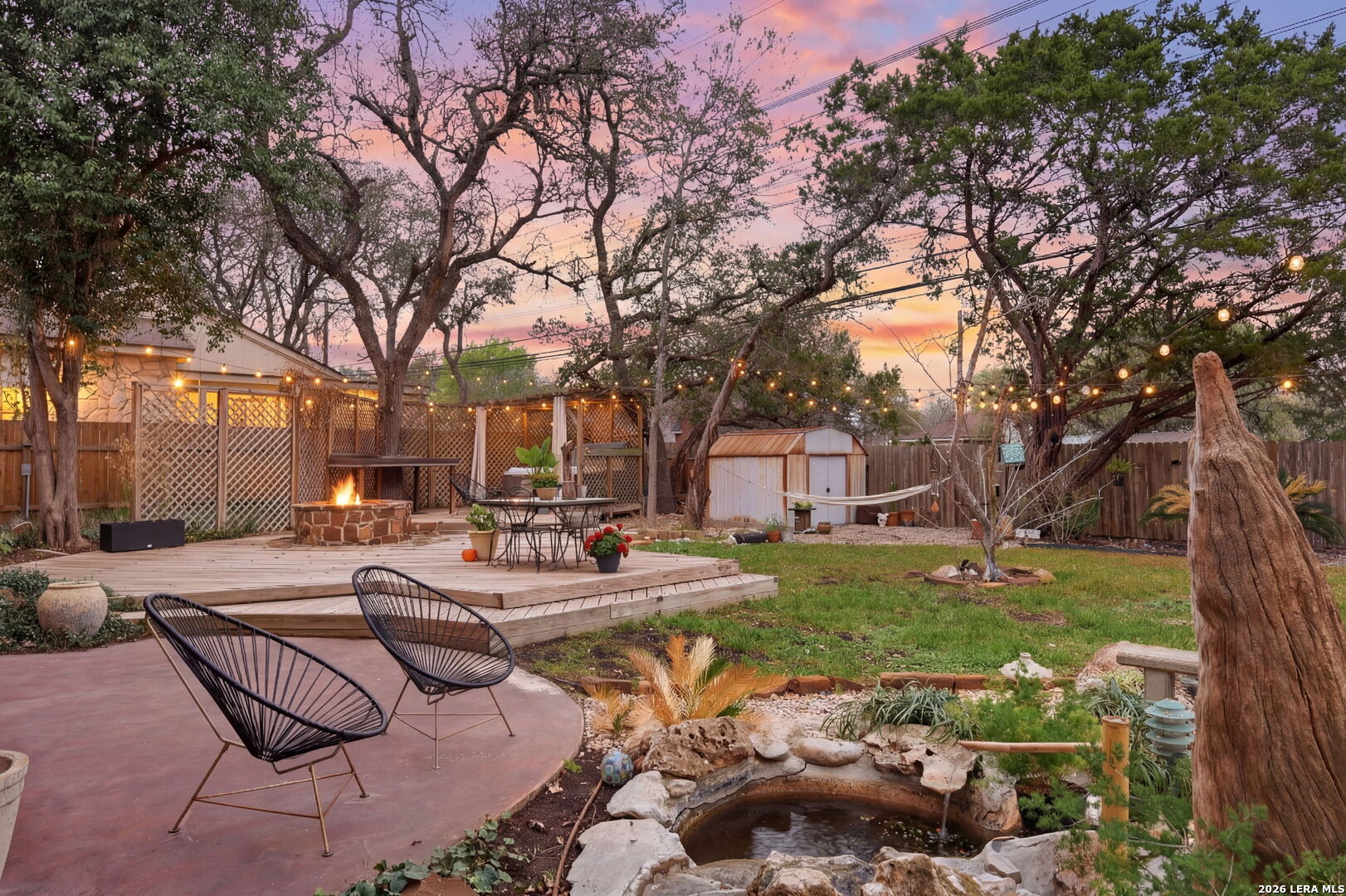 2623 Turkey Oak
