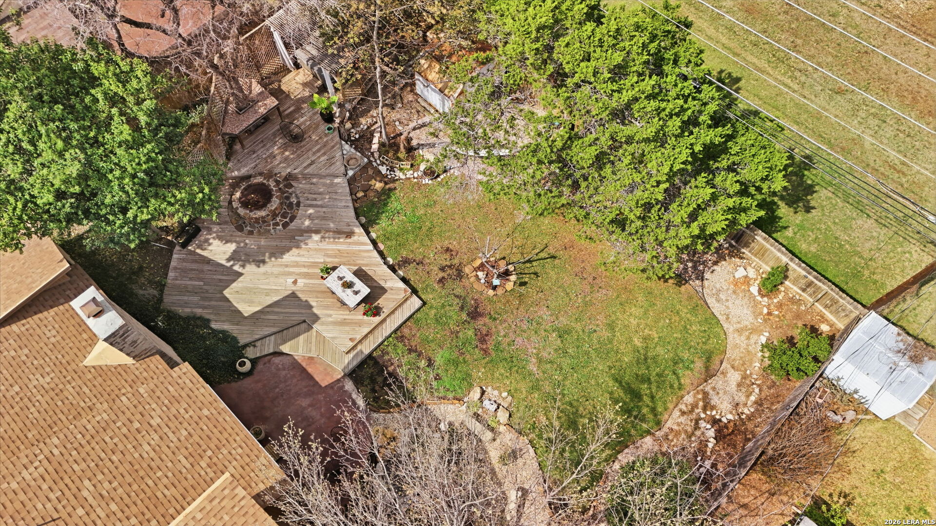 2623 Turkey Oak
