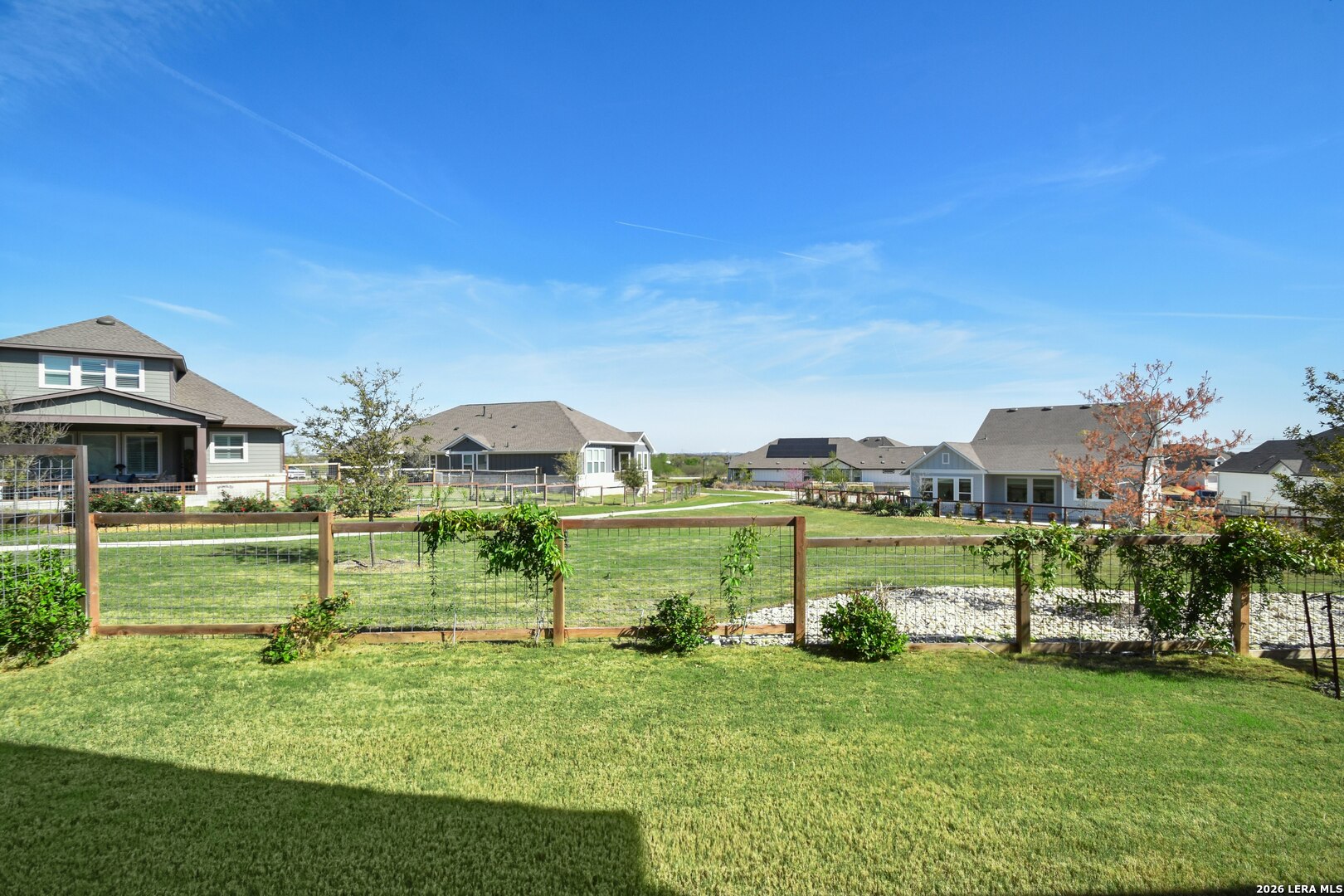 12125 Vine Blossom