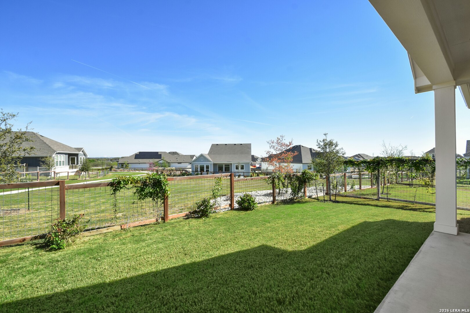 12125 Vine Blossom