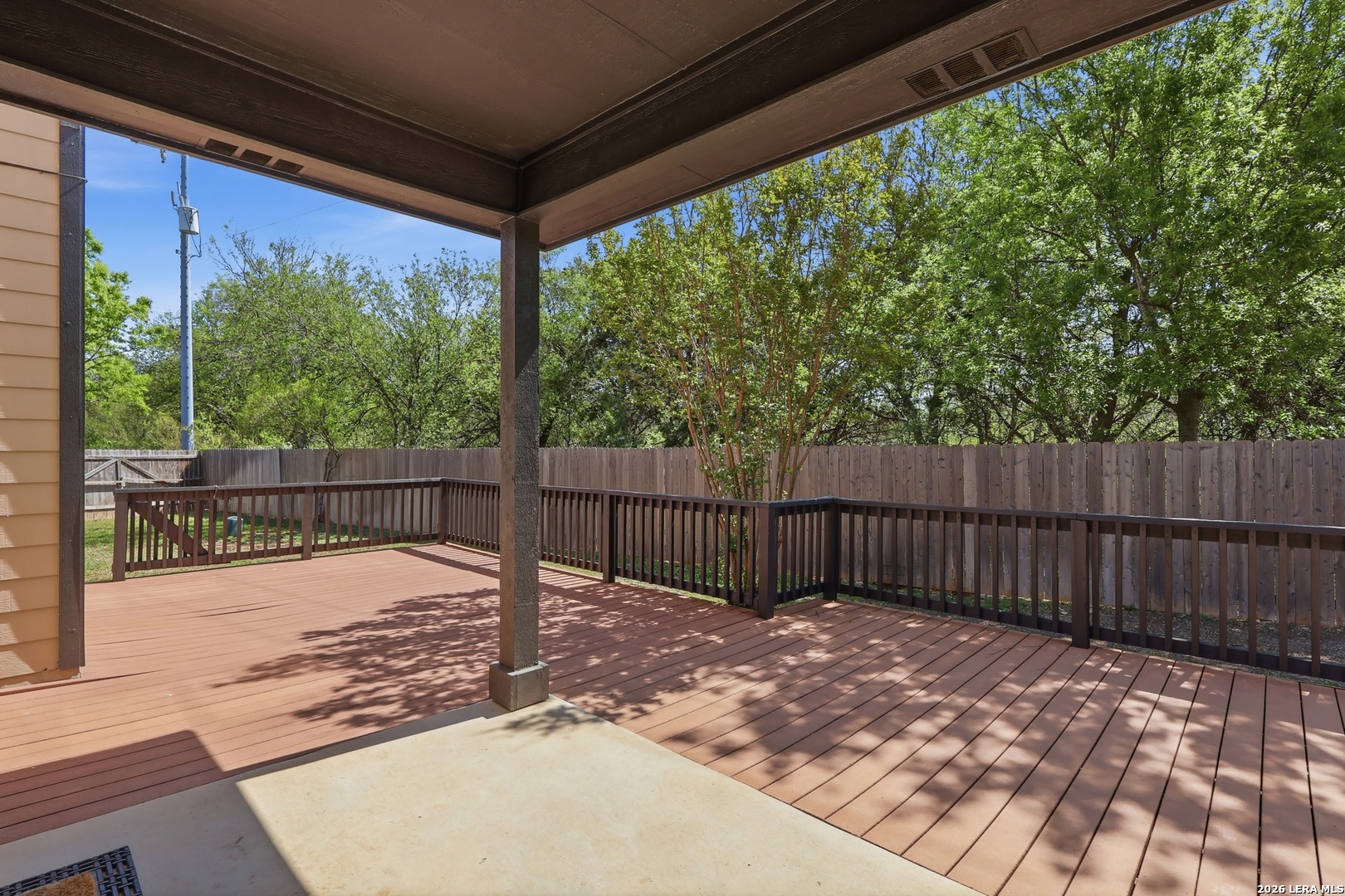 12703 Holly Cedar