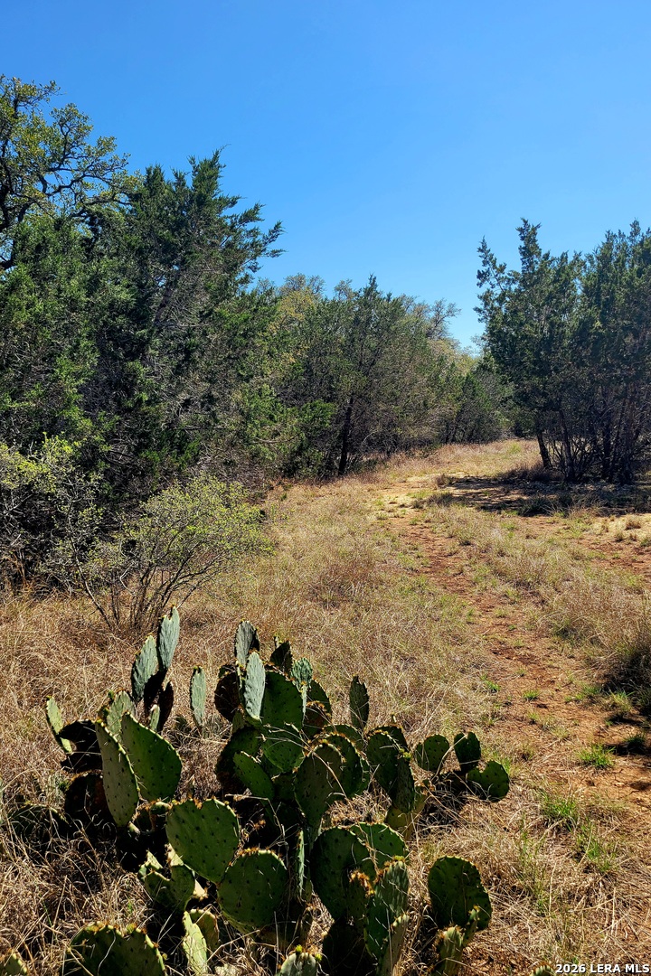 885 Brushy Creek