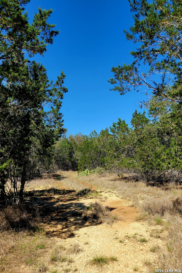 885 Brushy Creek