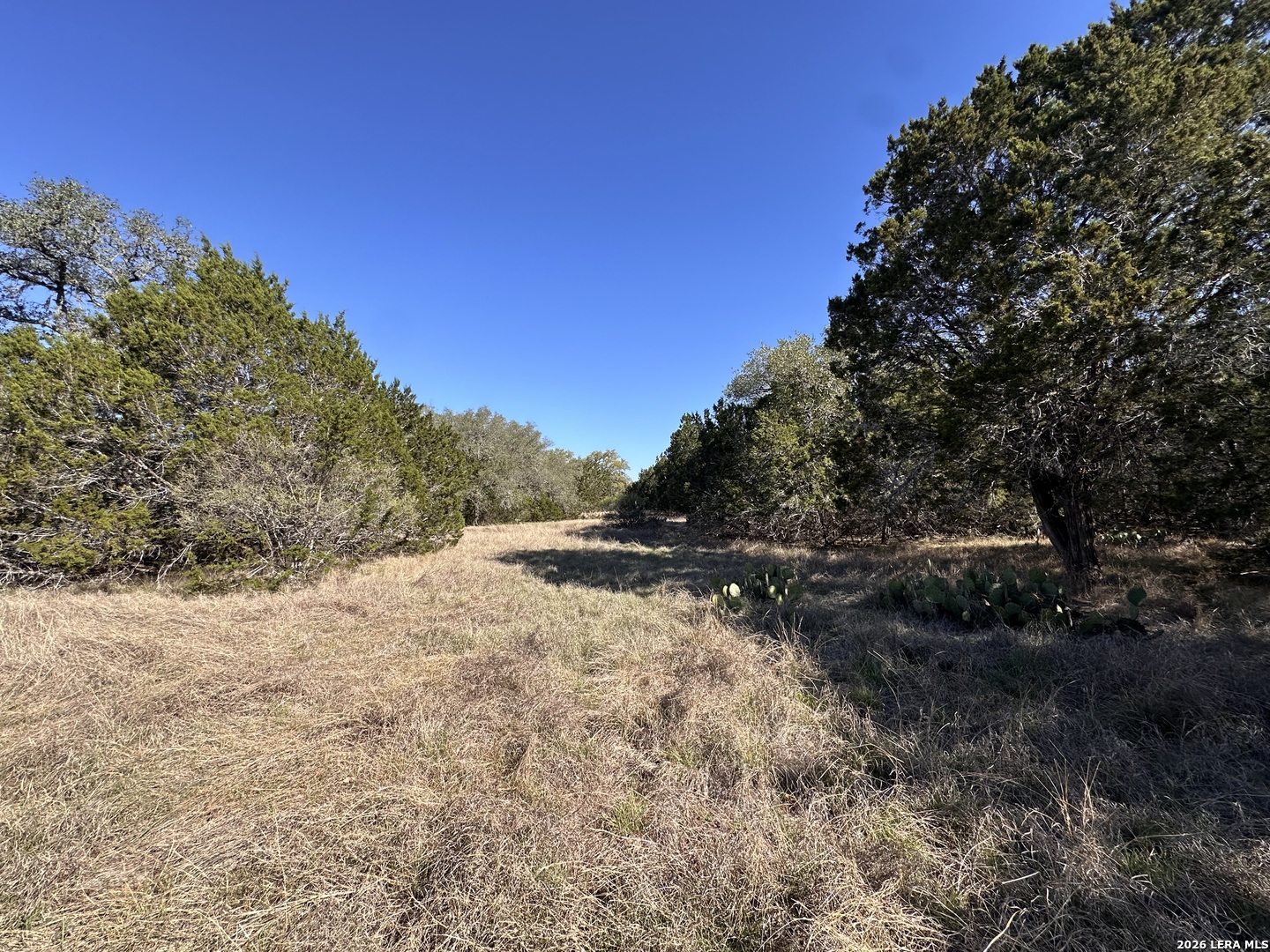 885 Brushy Creek