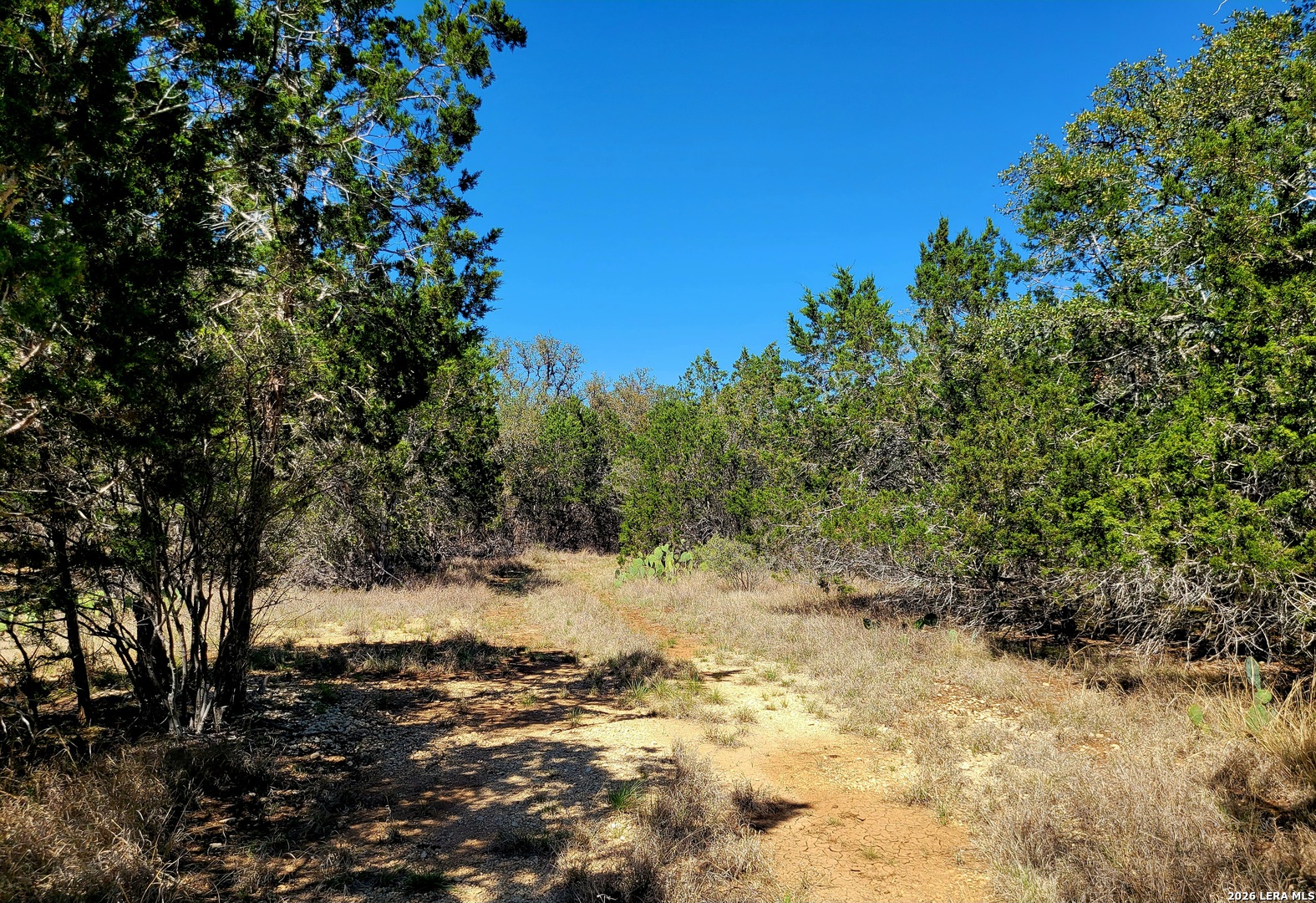 885 Brushy Creek