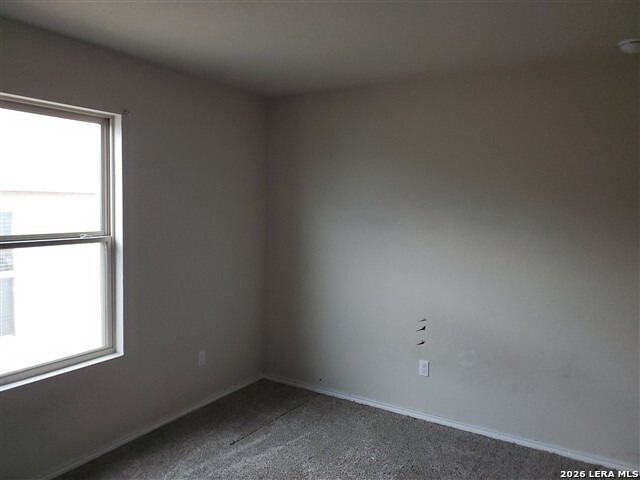 13546 Lily