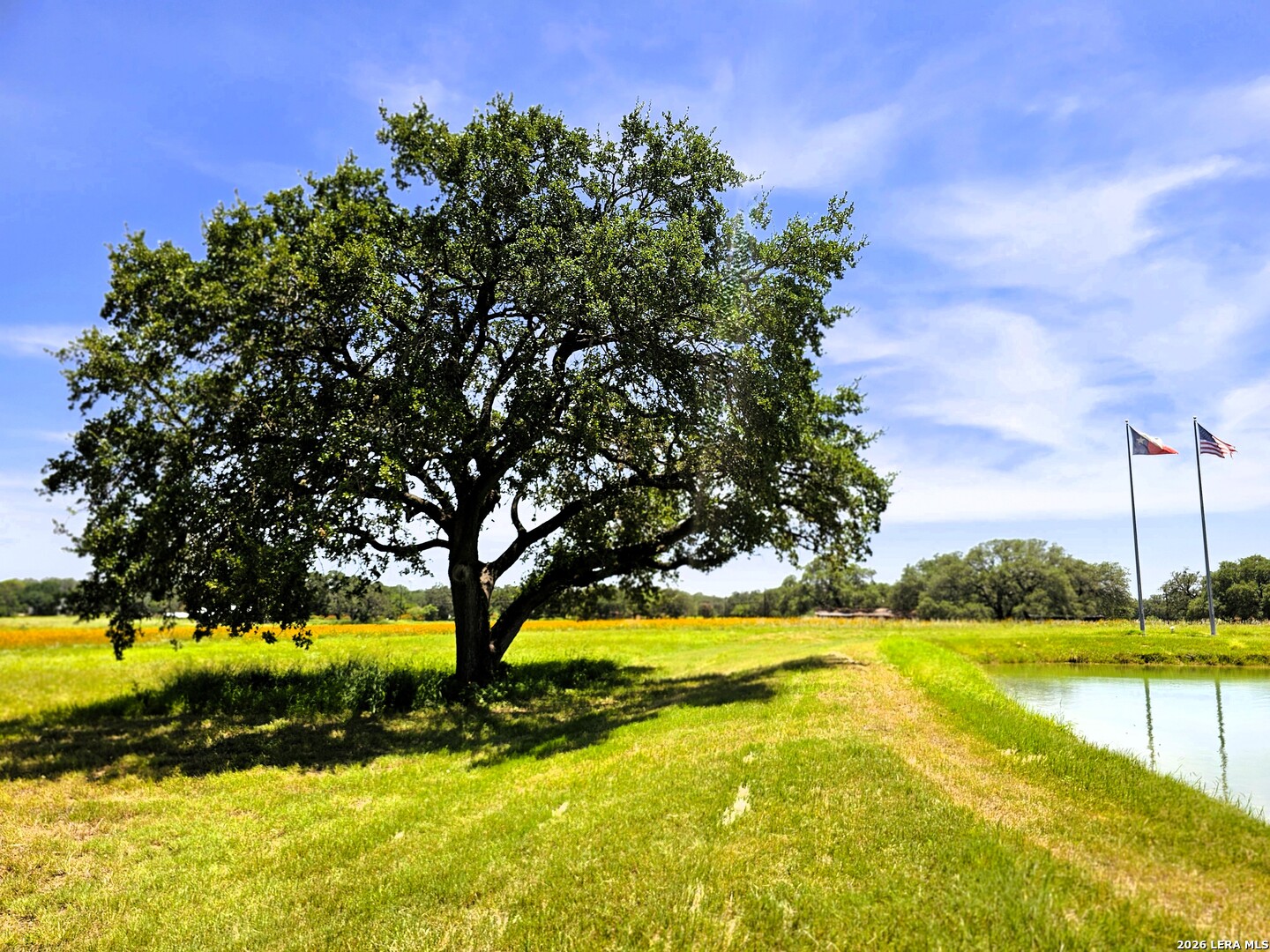 799 COUNTY ROAD 6612