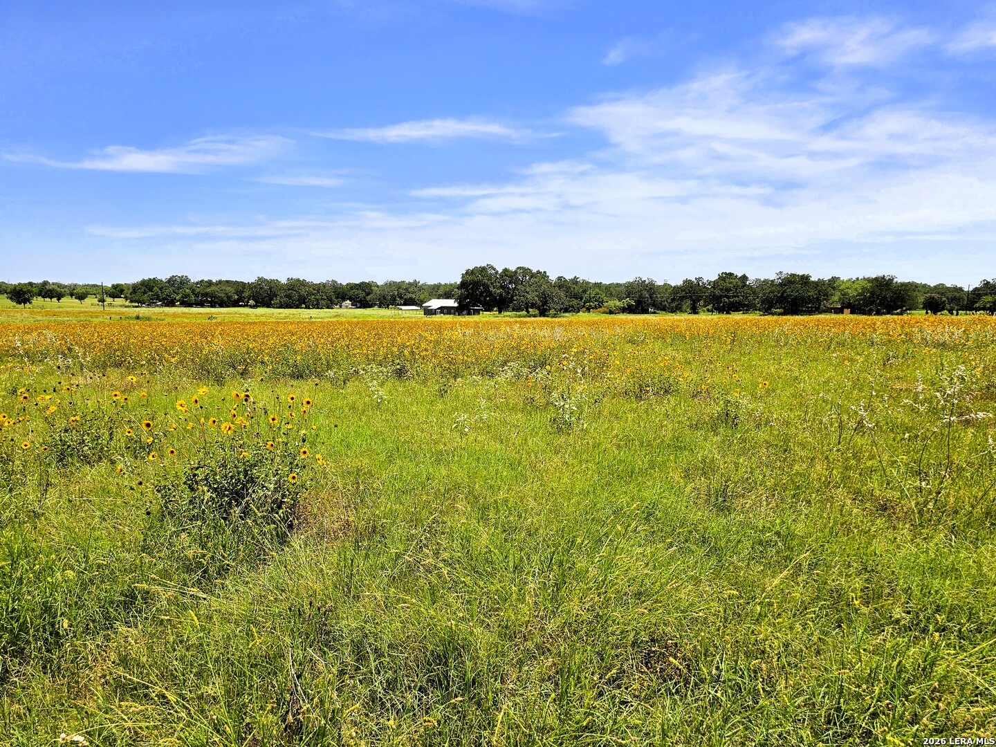 799 COUNTY ROAD 6612