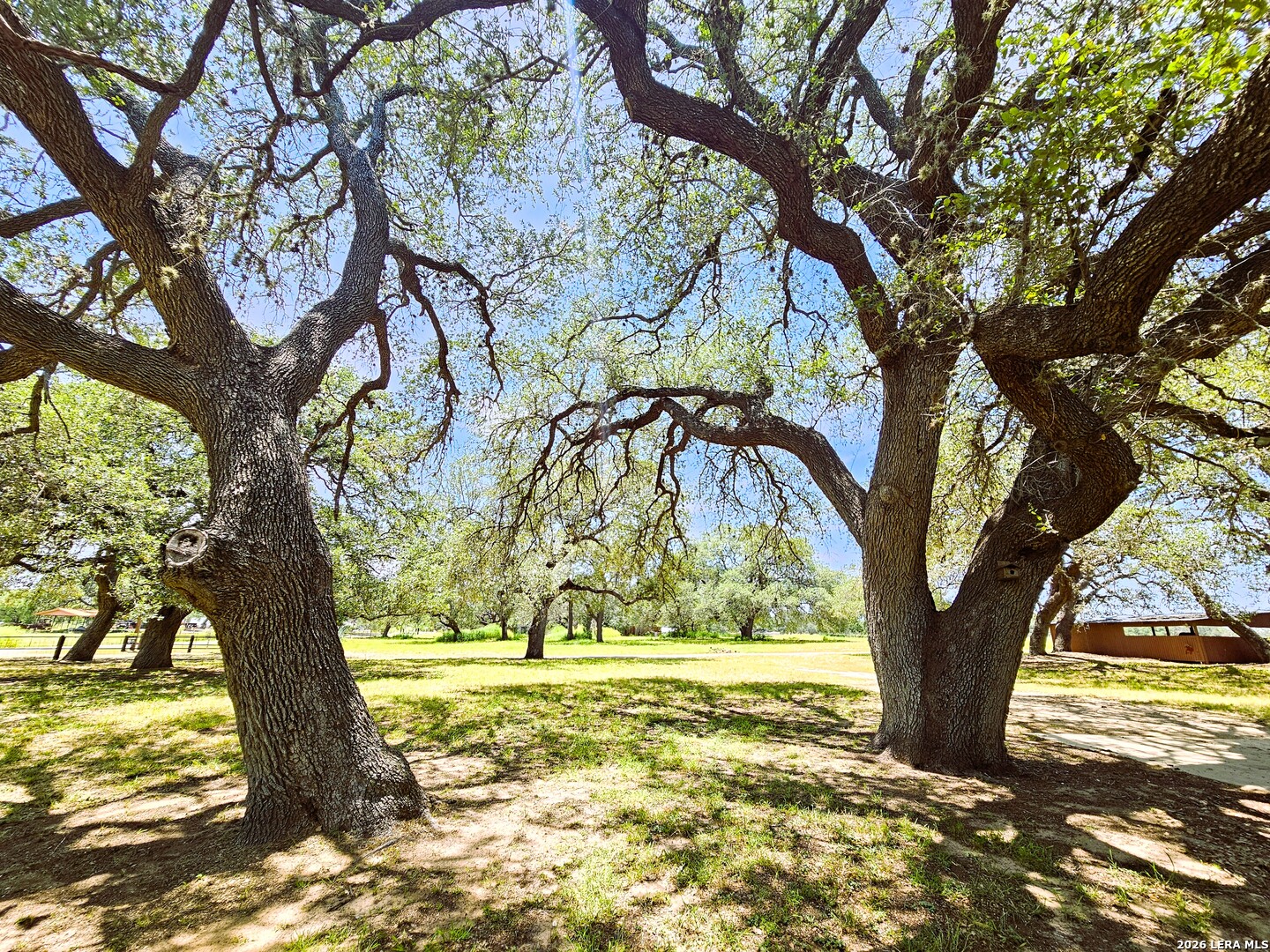 799 COUNTY ROAD 6612