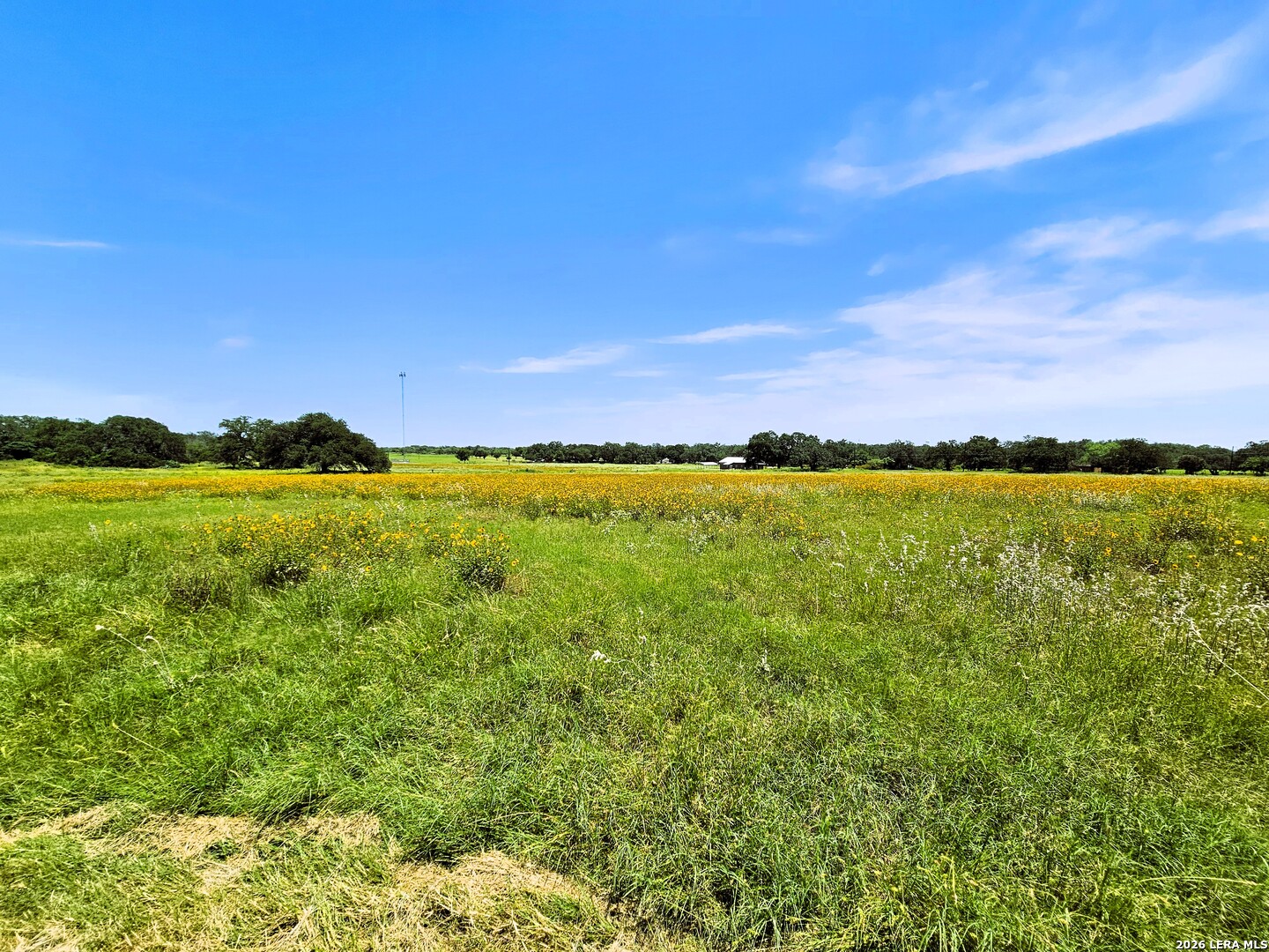 799 COUNTY ROAD 6612