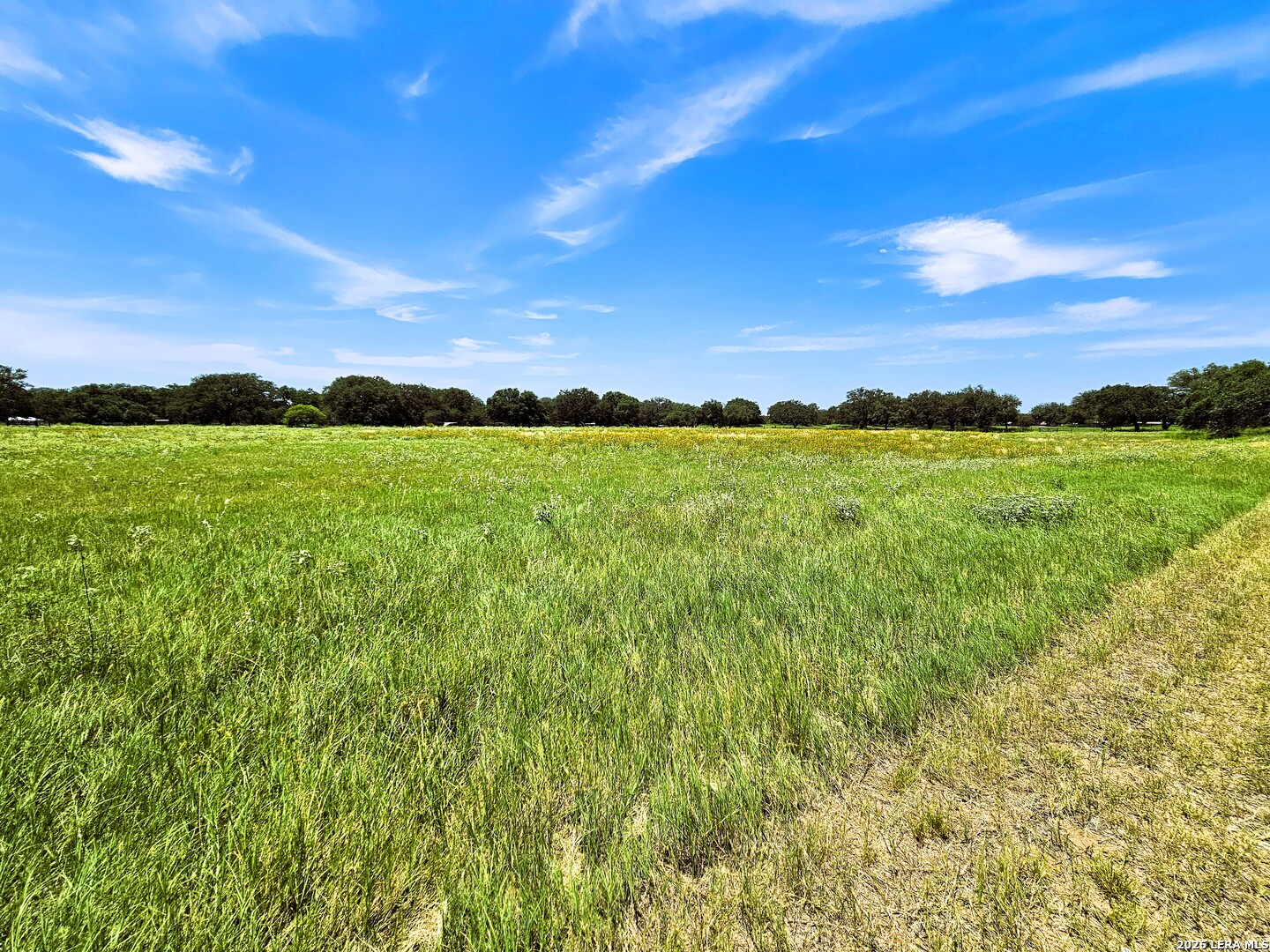 799 COUNTY ROAD 6612