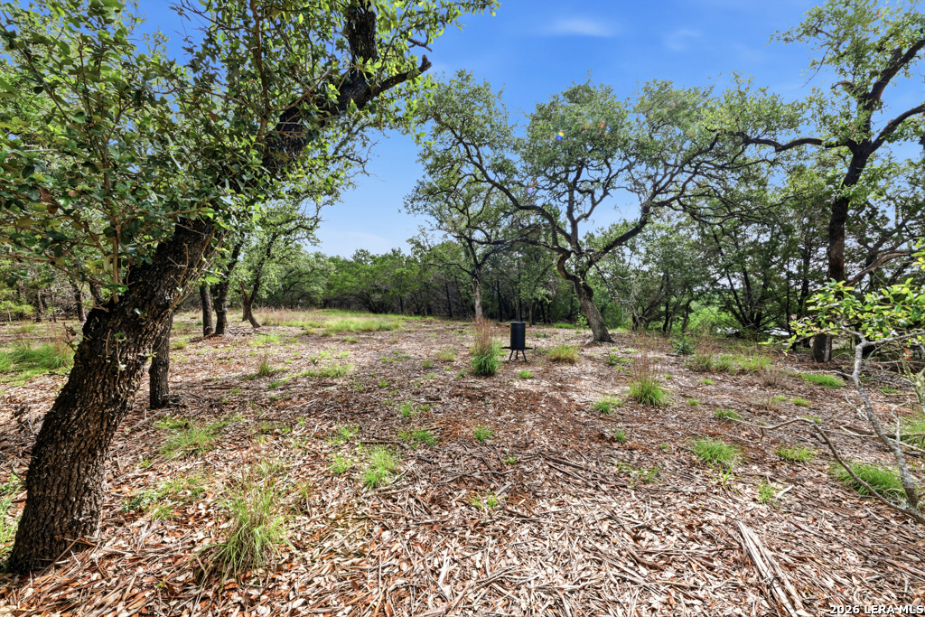1184 Summit