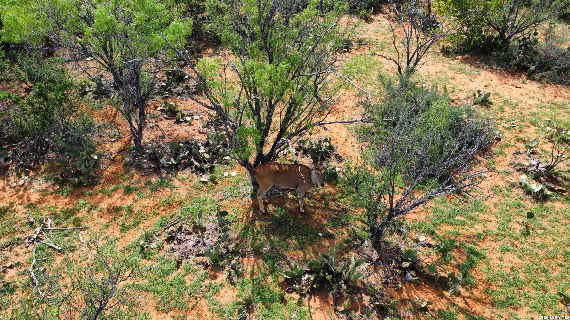 1365 Ranch Road 6252B