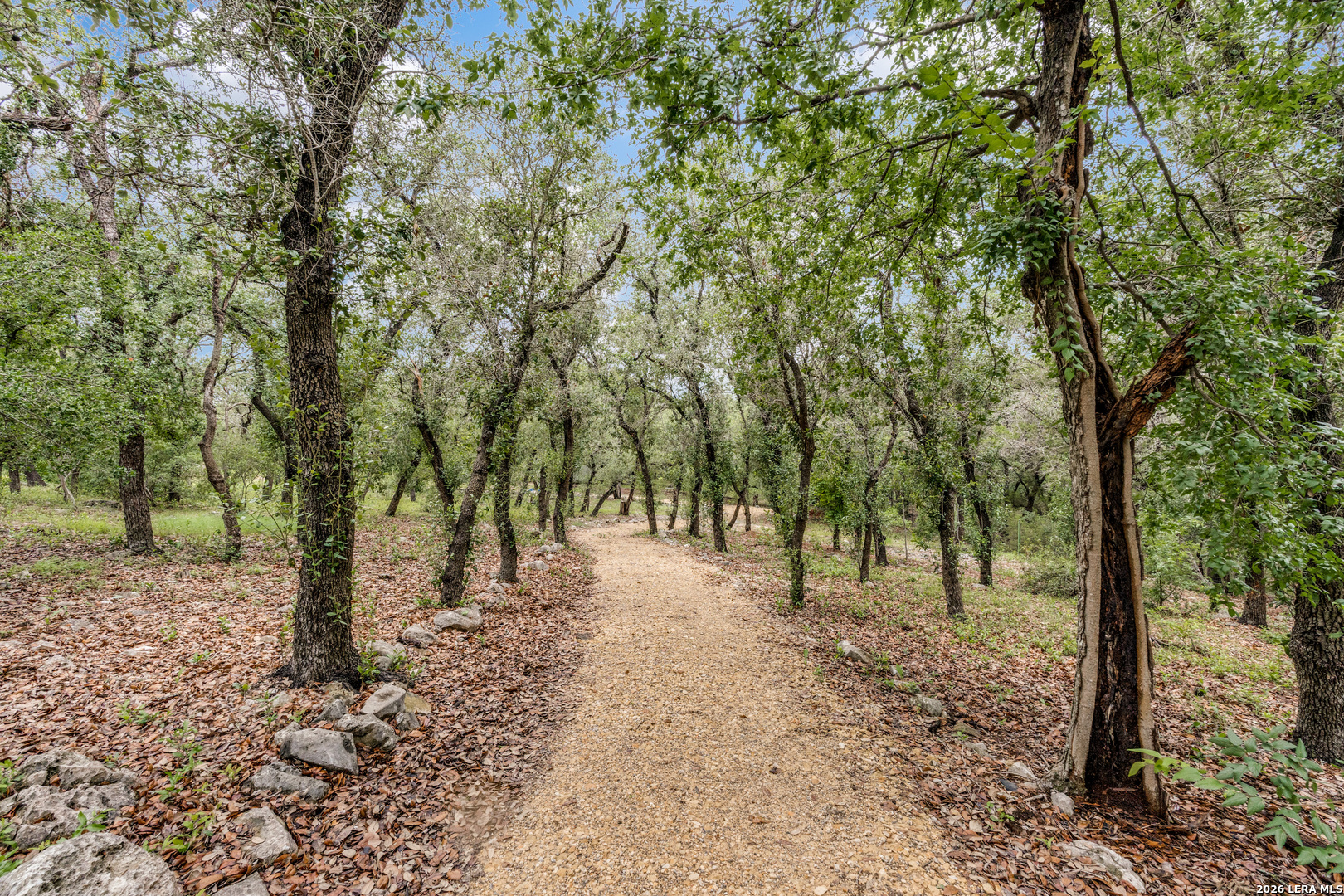 26206 Lewis Ranch