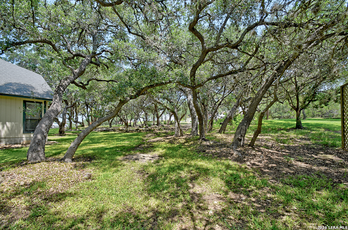 26246 HIGH TIMBER PASS ST
