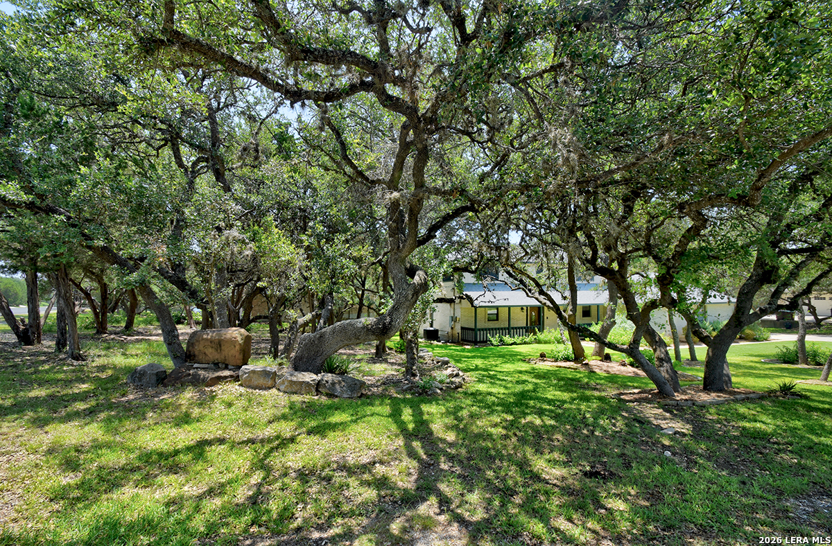 26246 HIGH TIMBER PASS ST
