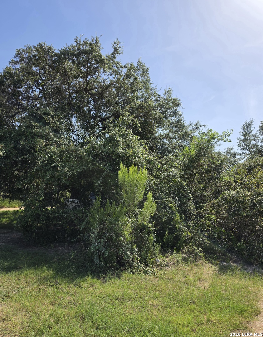 24283 US HIGHWAY 281 S
