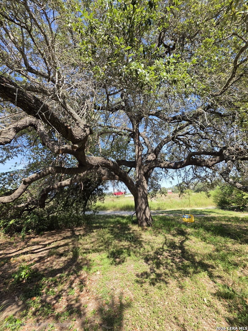 24283 US HIGHWAY 281 S