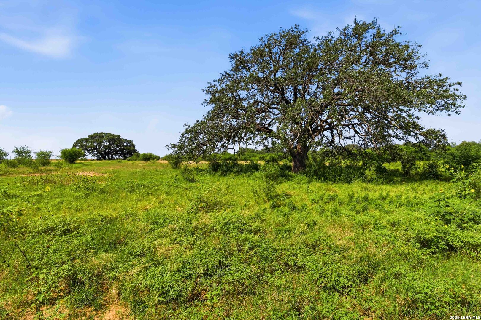 2194 S Ranch Rd 187