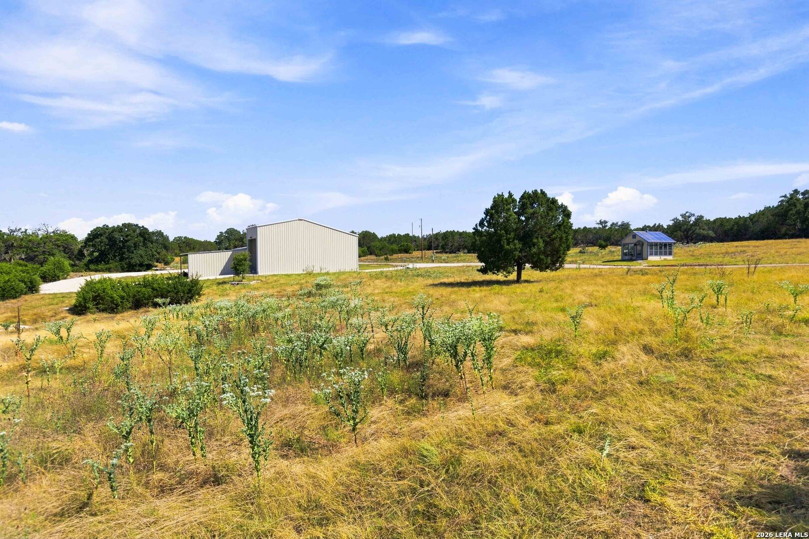 160 LIVE OAK LN