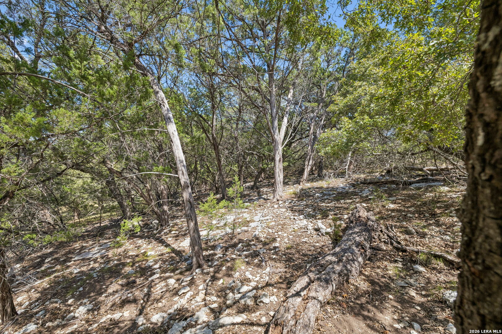 COMANCHE TRL Comanche Path