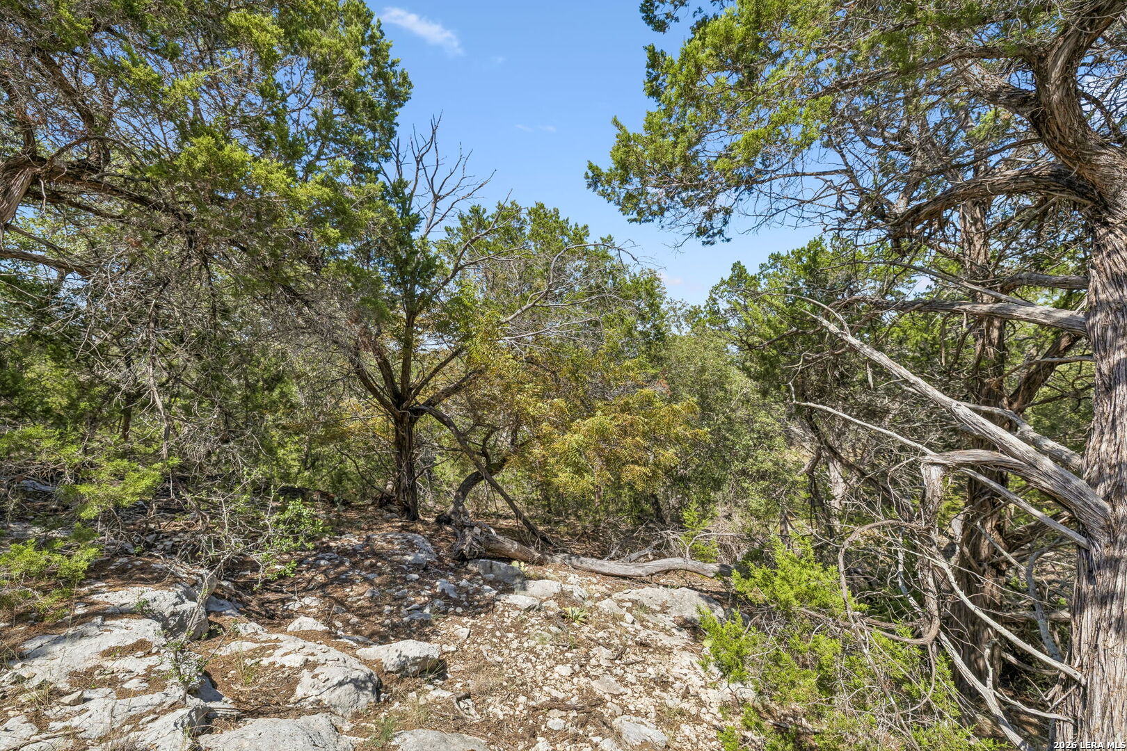 COMANCHE TRL Comanche Path