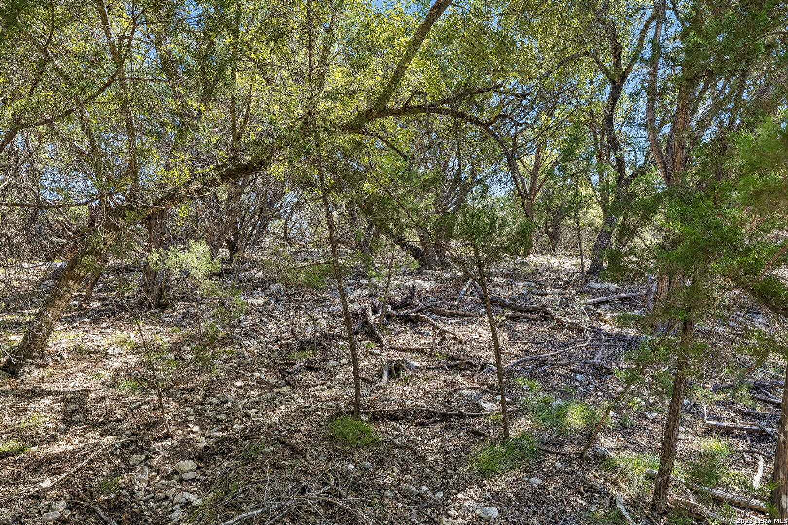 COMANCHE TRL Comanche Path