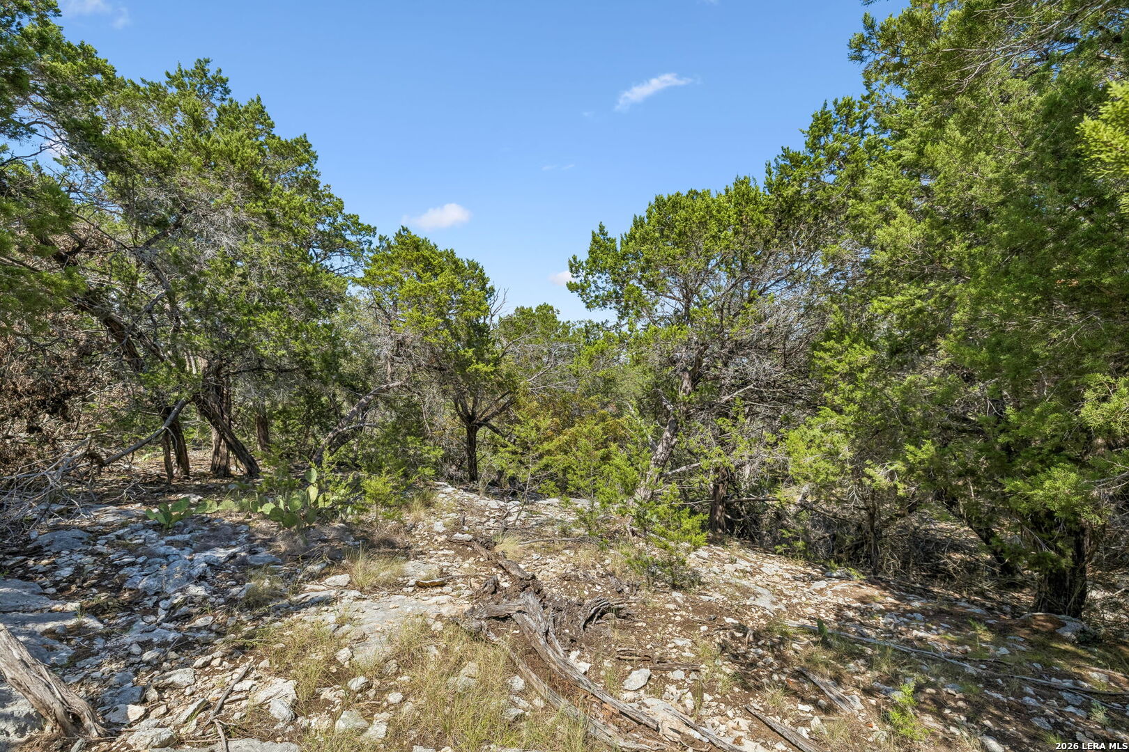 COMANCHE TRL Comanche Path