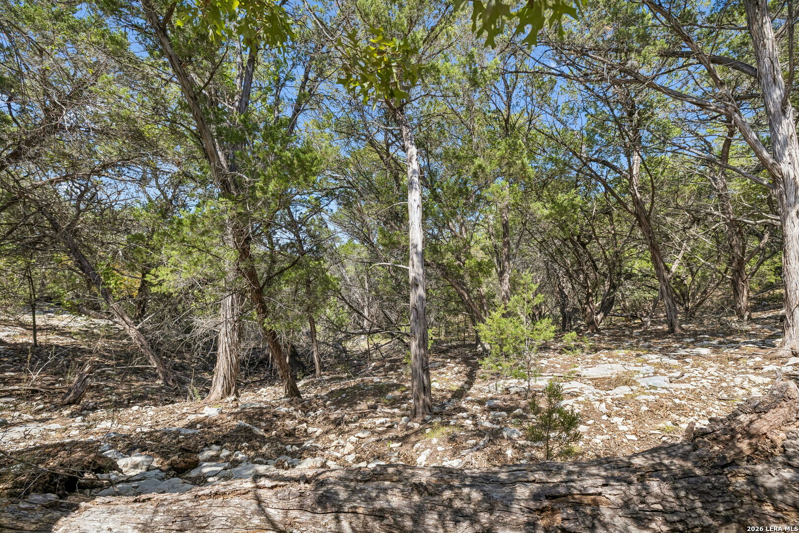 COMANCHE TRL Comanche Path