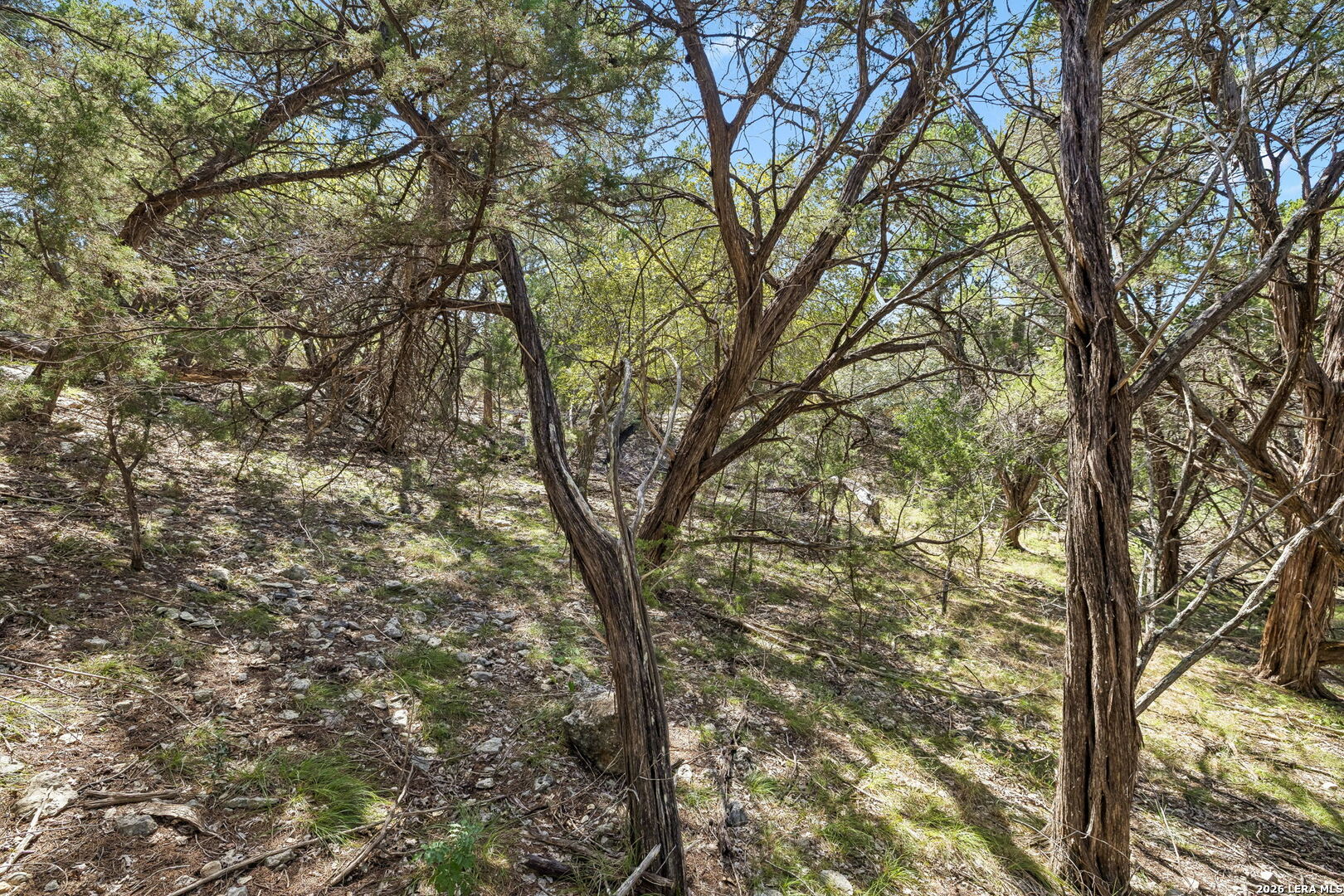 COMANCHE TRL Comanche Path