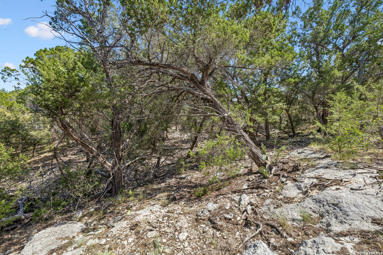 COMANCHE TRL Comanche Path