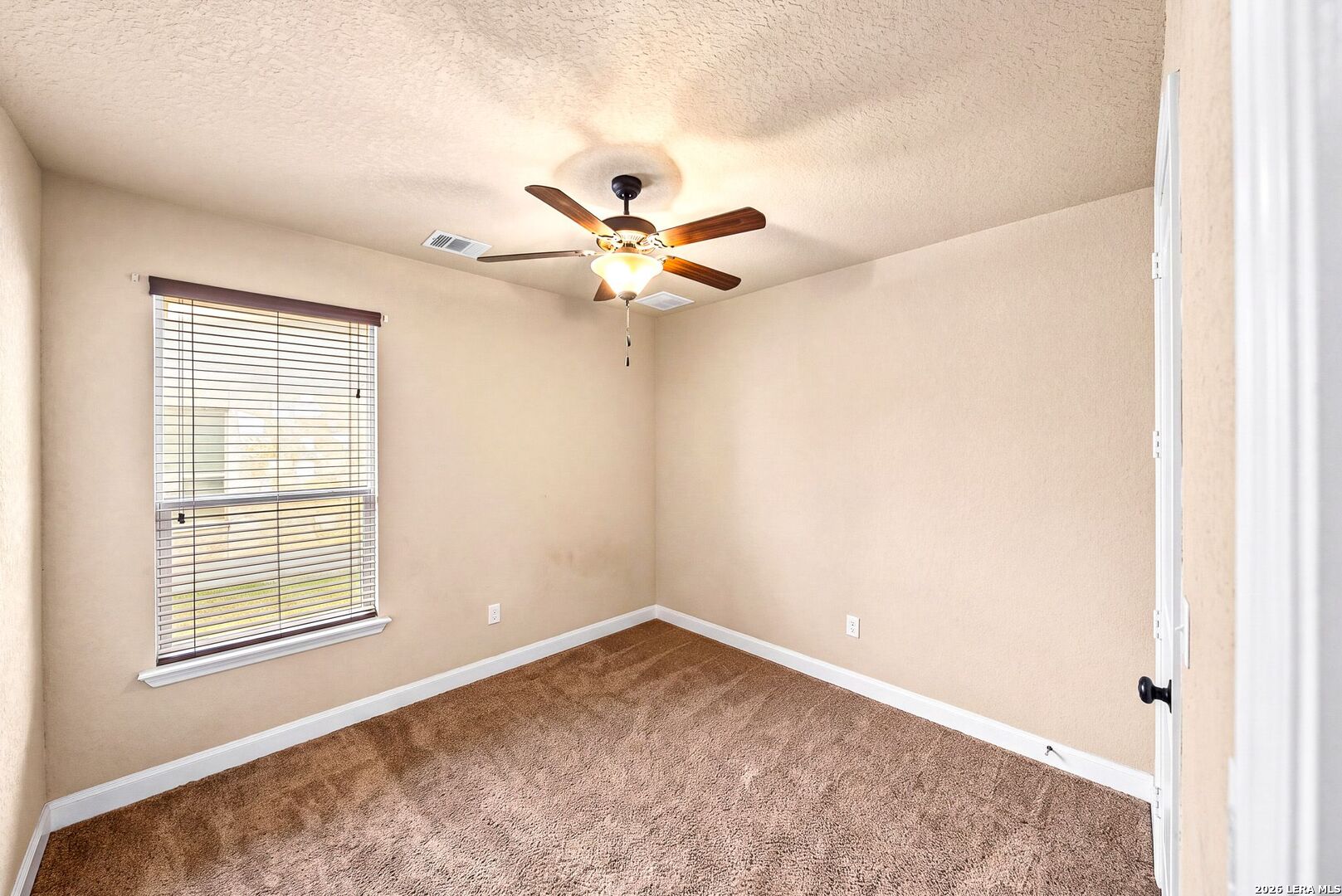 3938 Firebush