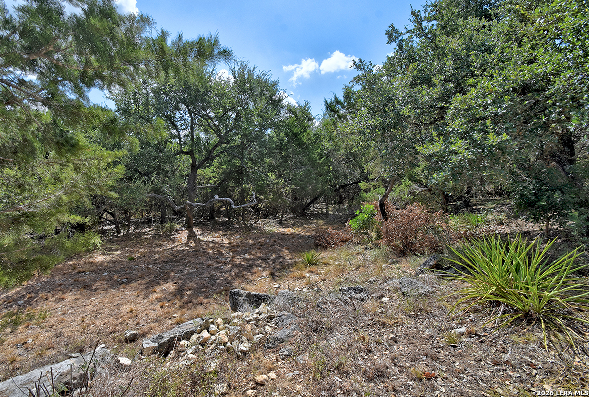 181 QUERCUS LN