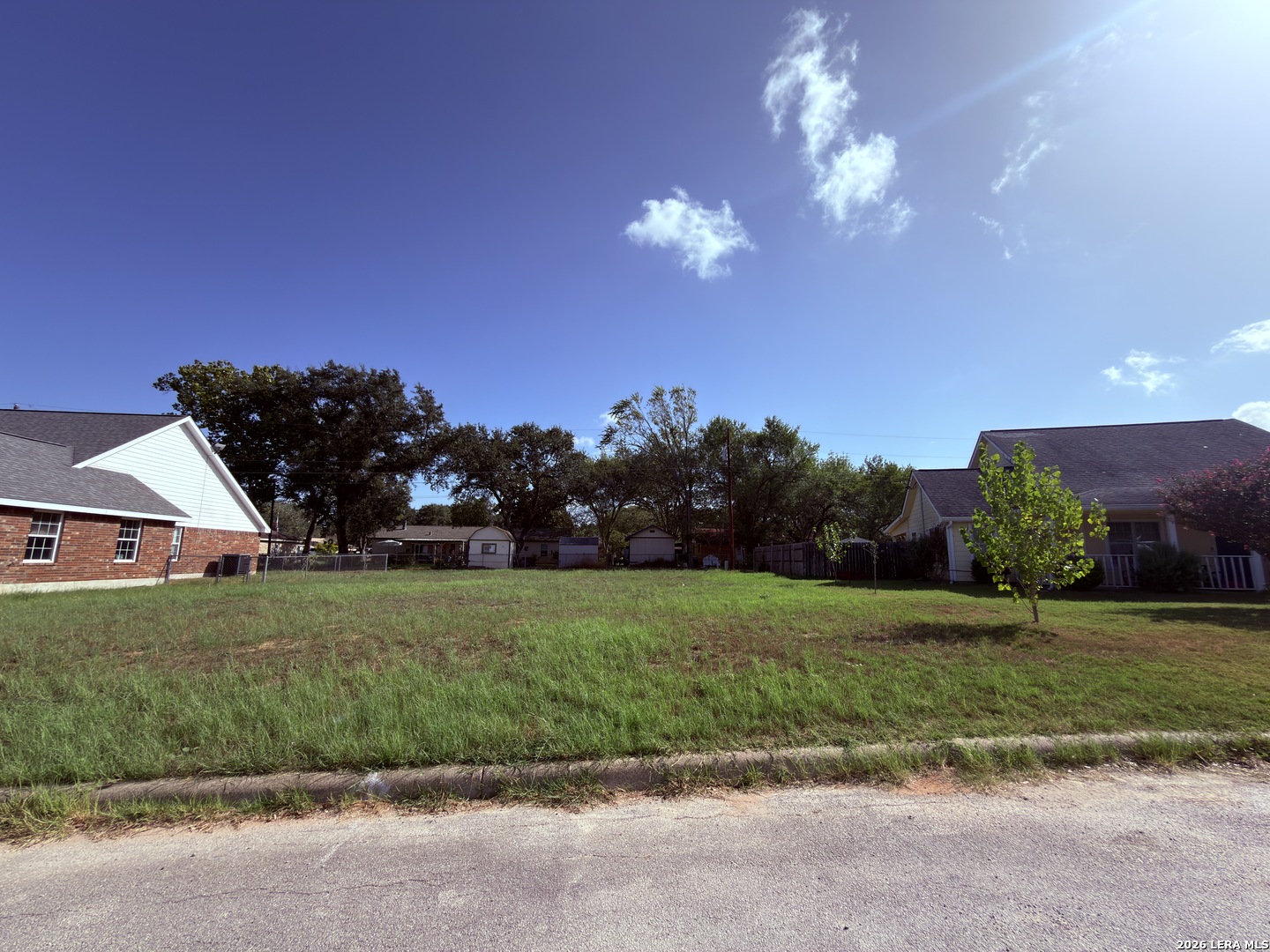 1017 VERBENA LOOP