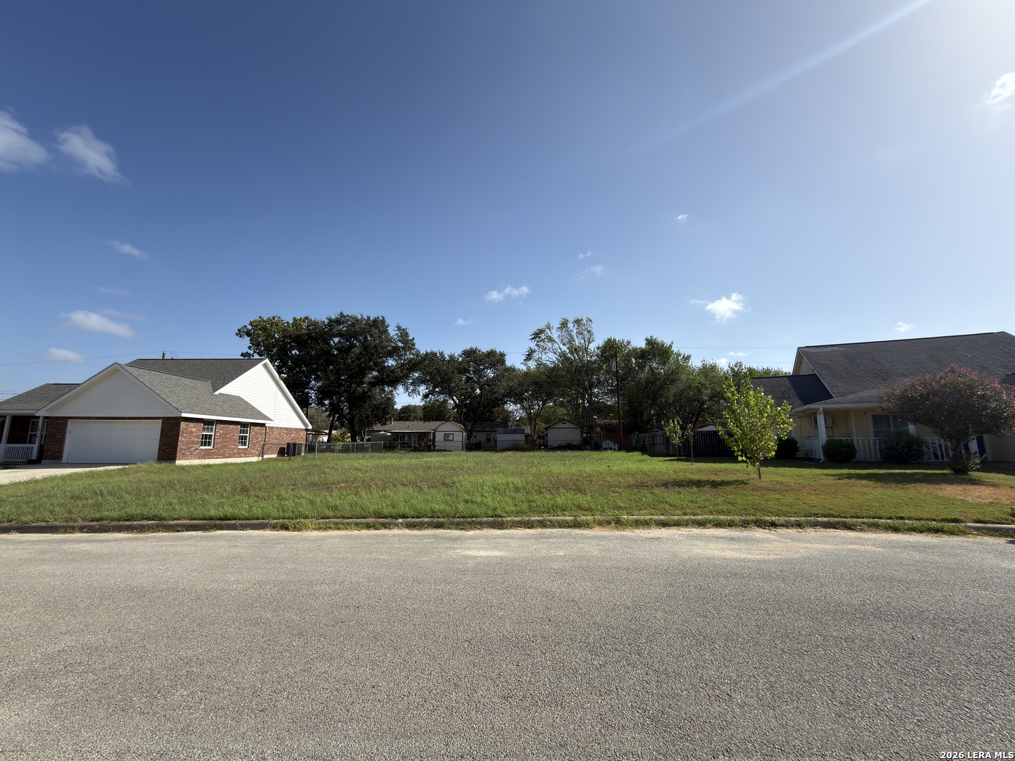 1017 VERBENA LOOP