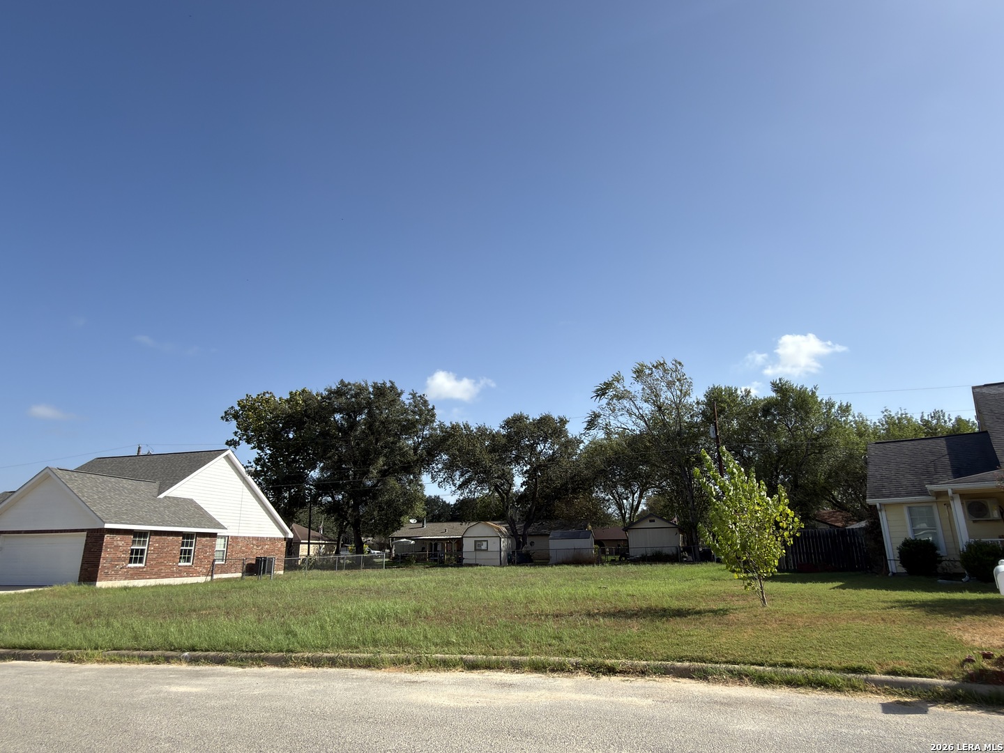 1017 VERBENA LOOP