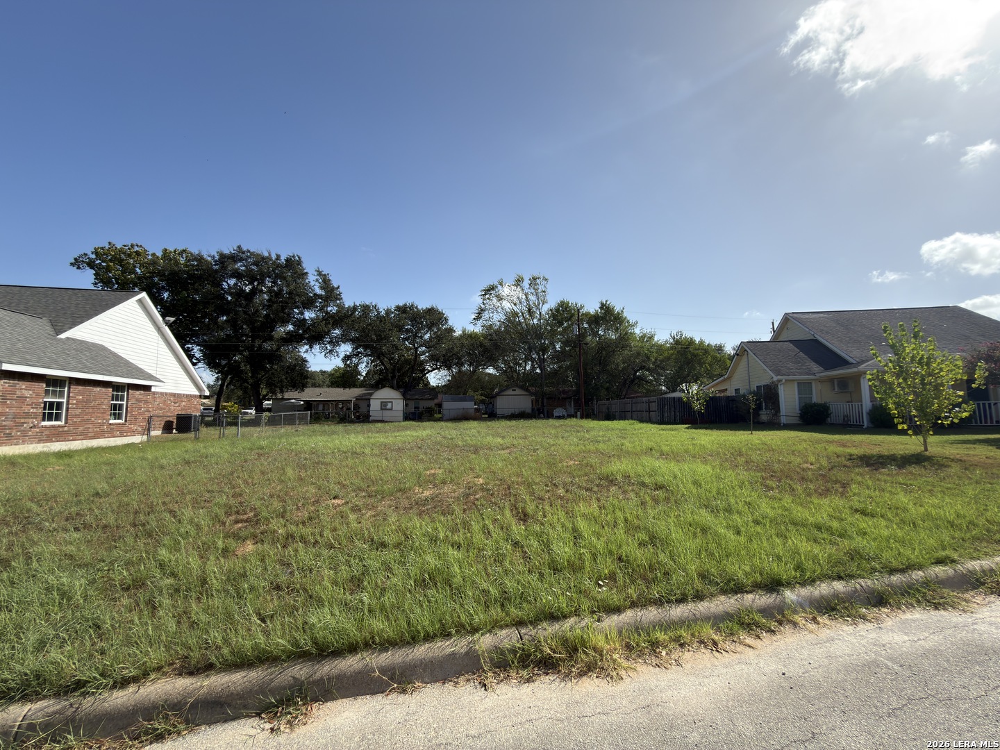 1017 VERBENA LOOP