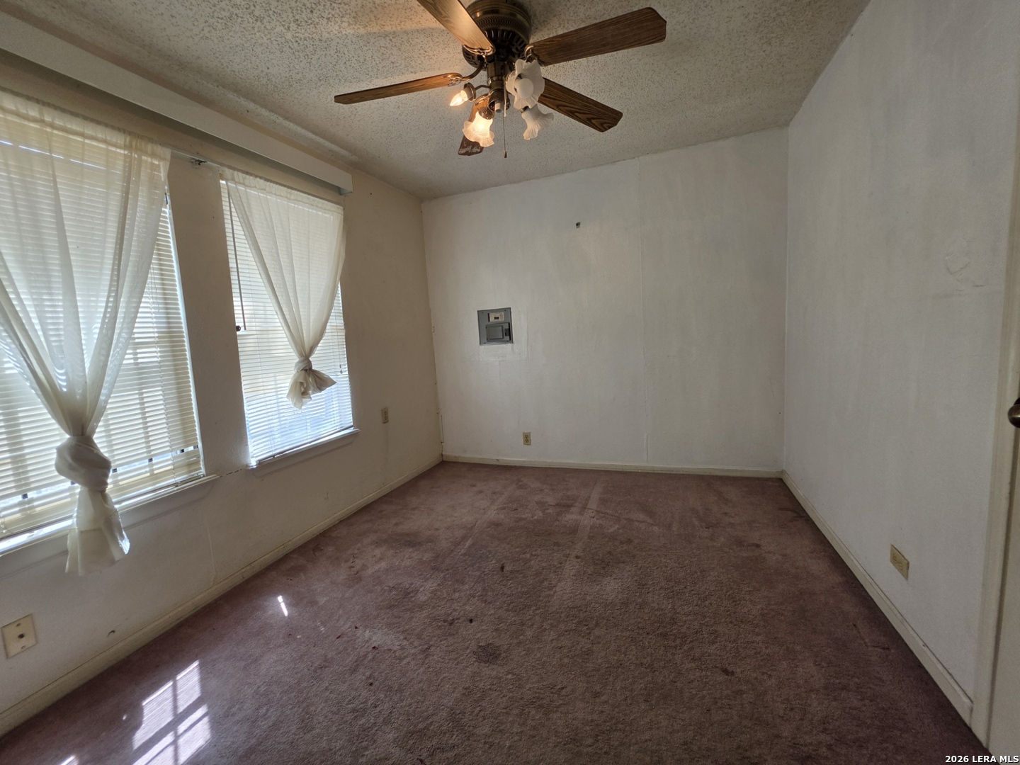 1329 Brighton