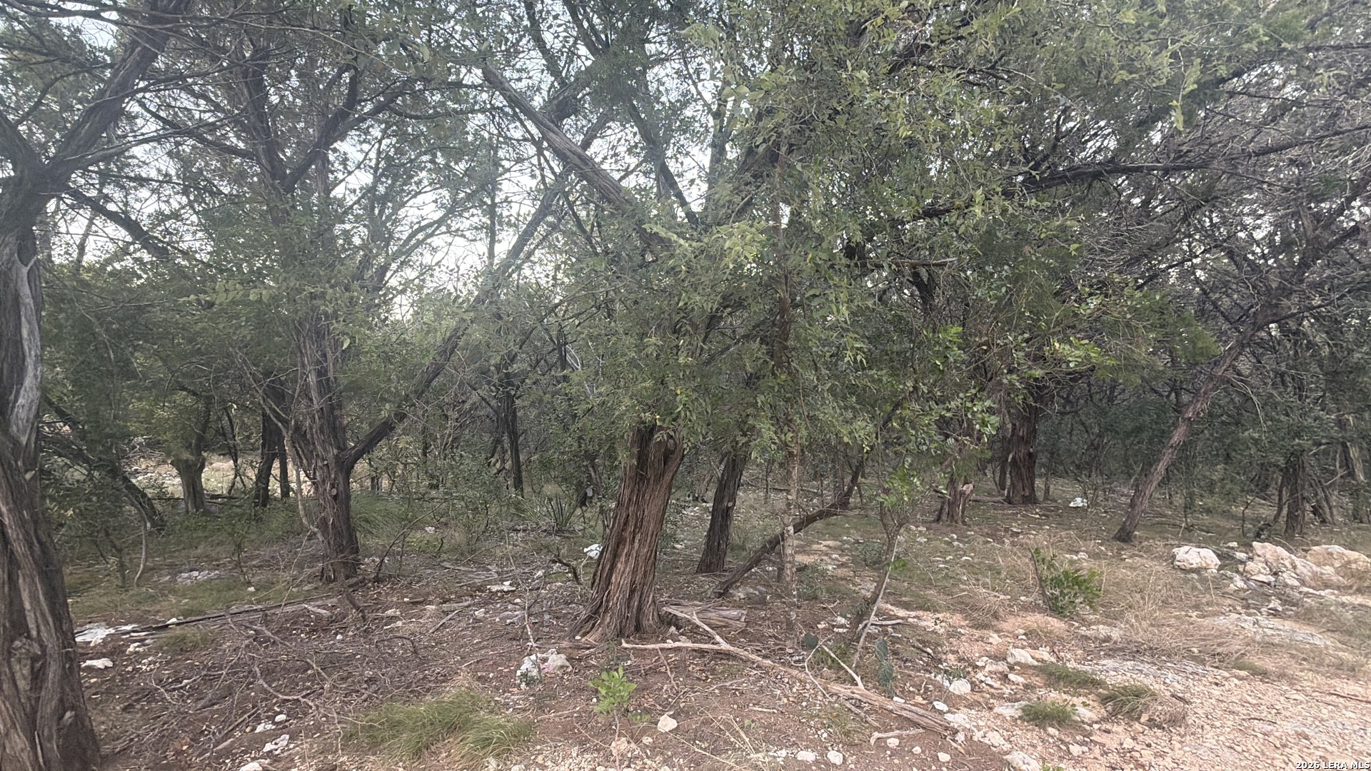 AVALON G LOT 28th st