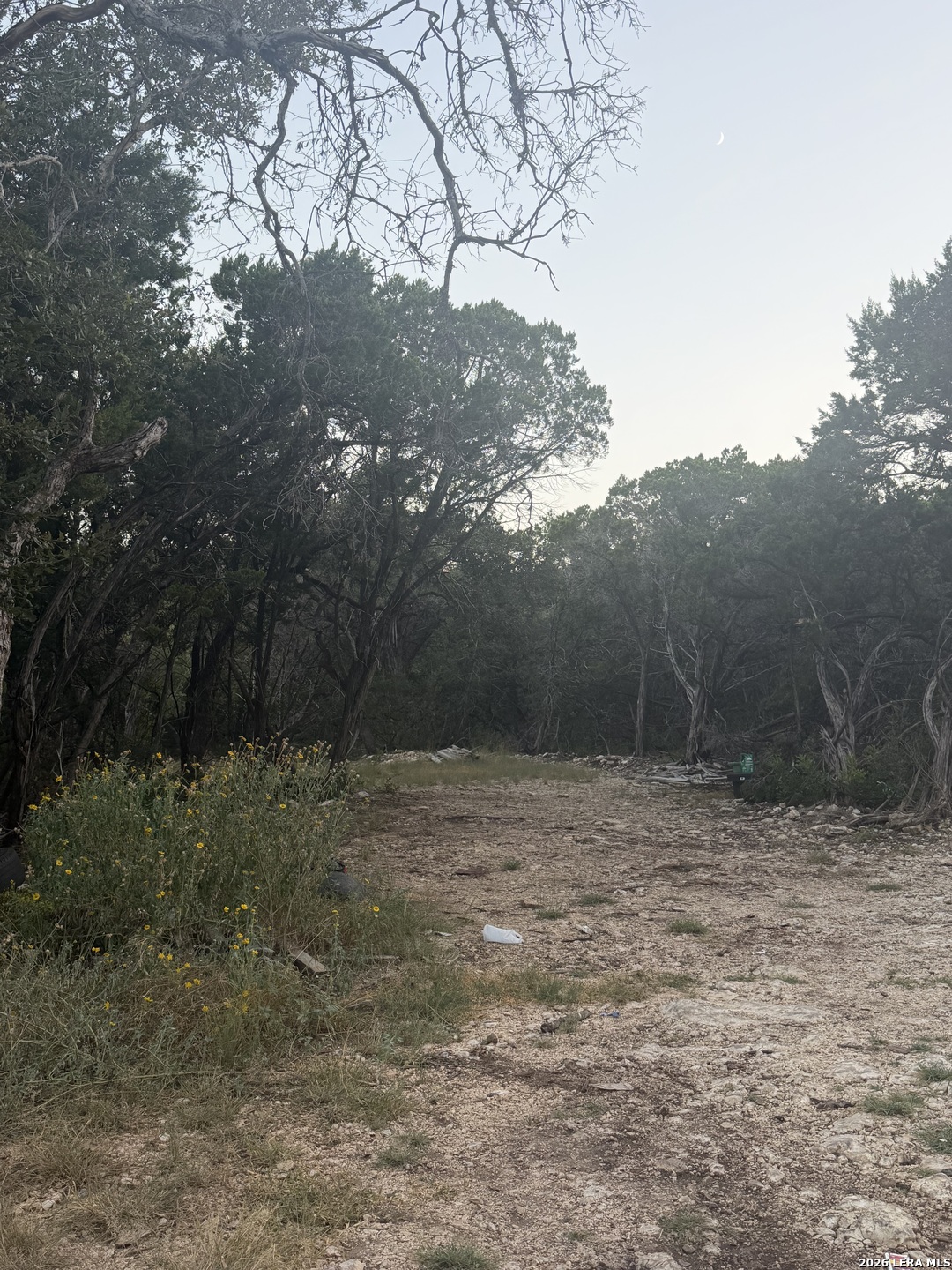 AVALON G LOT 28th st