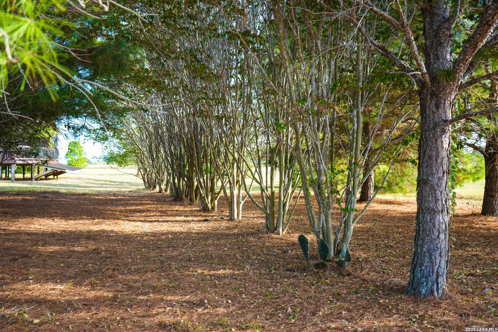 331 County Road 423