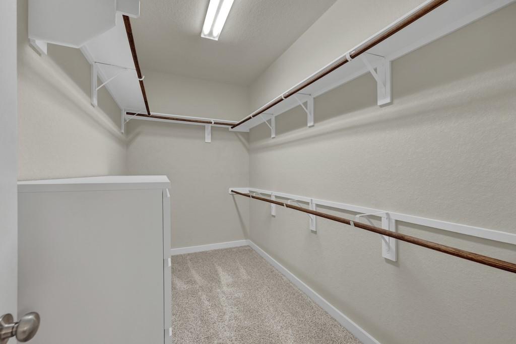 15418 IVORY HLS HLS