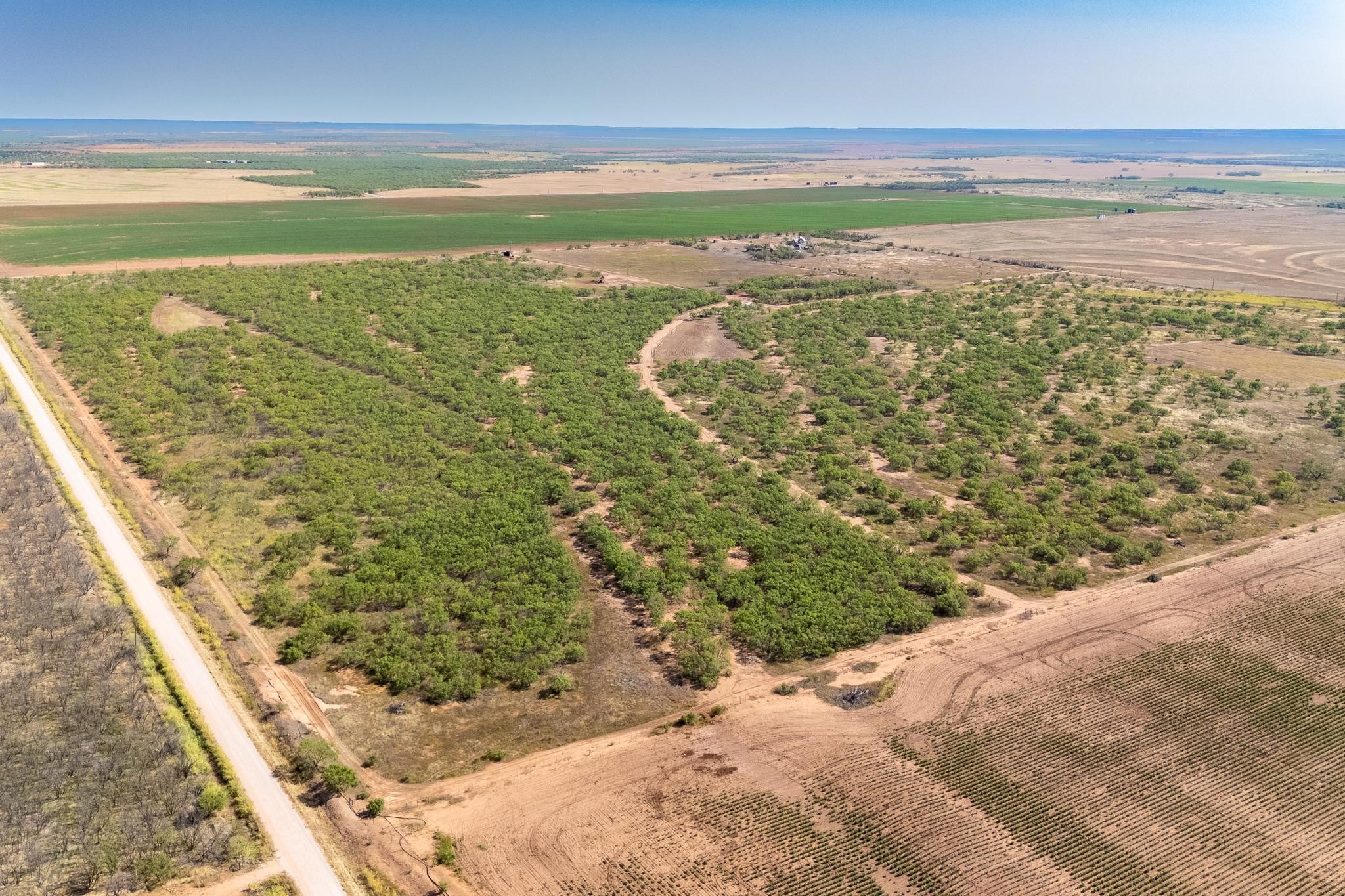 15995 County Road 466