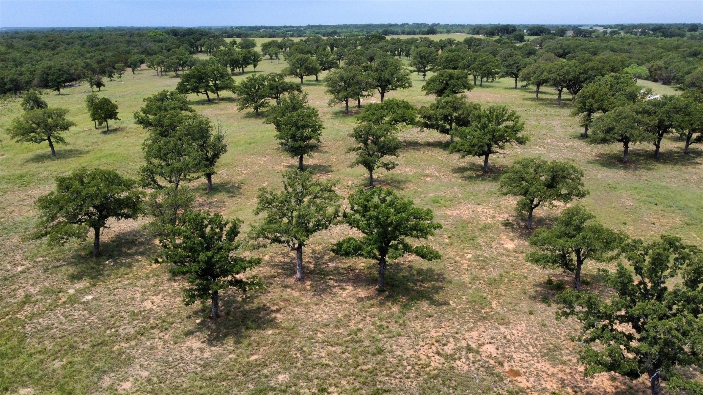 1021 Drover's Trail