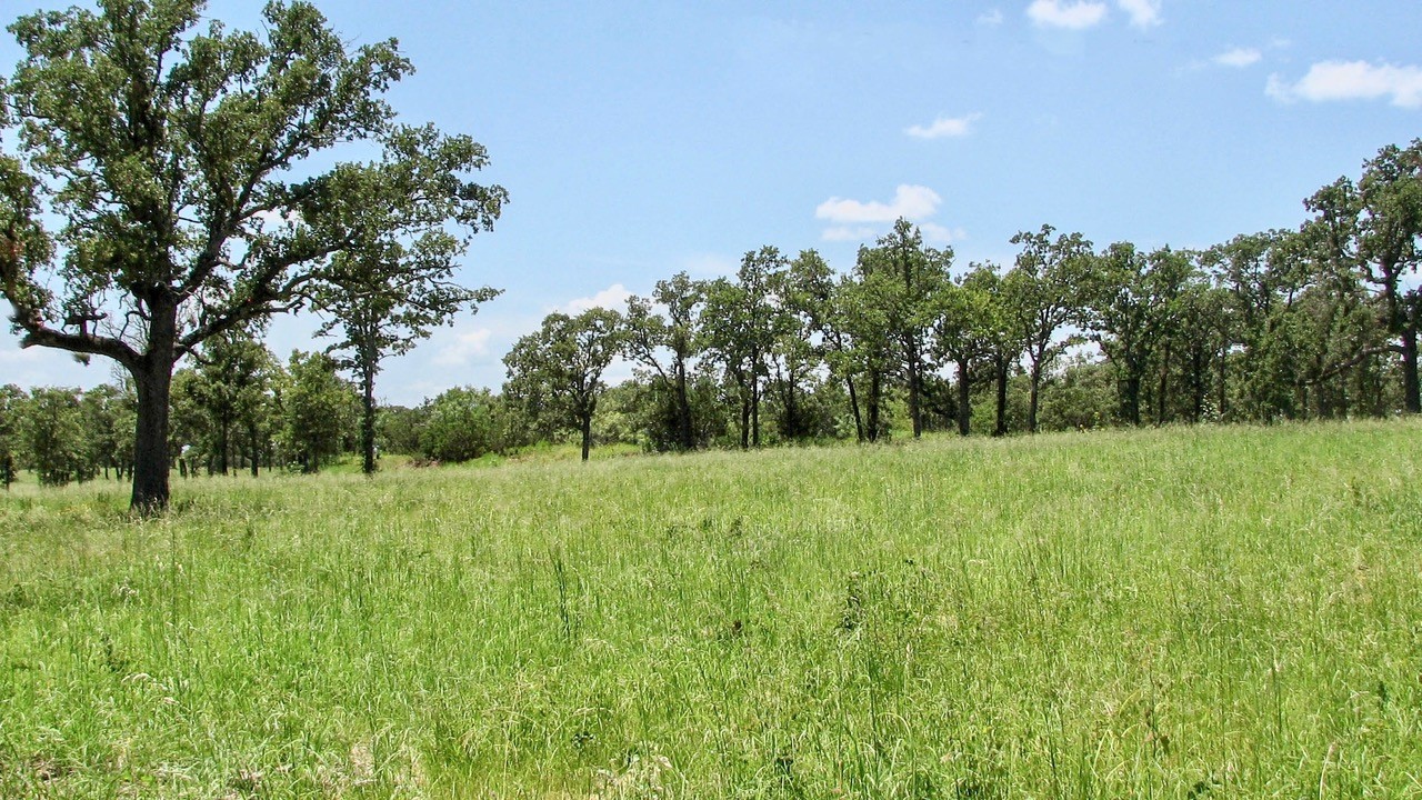 1001 Drover's Trail