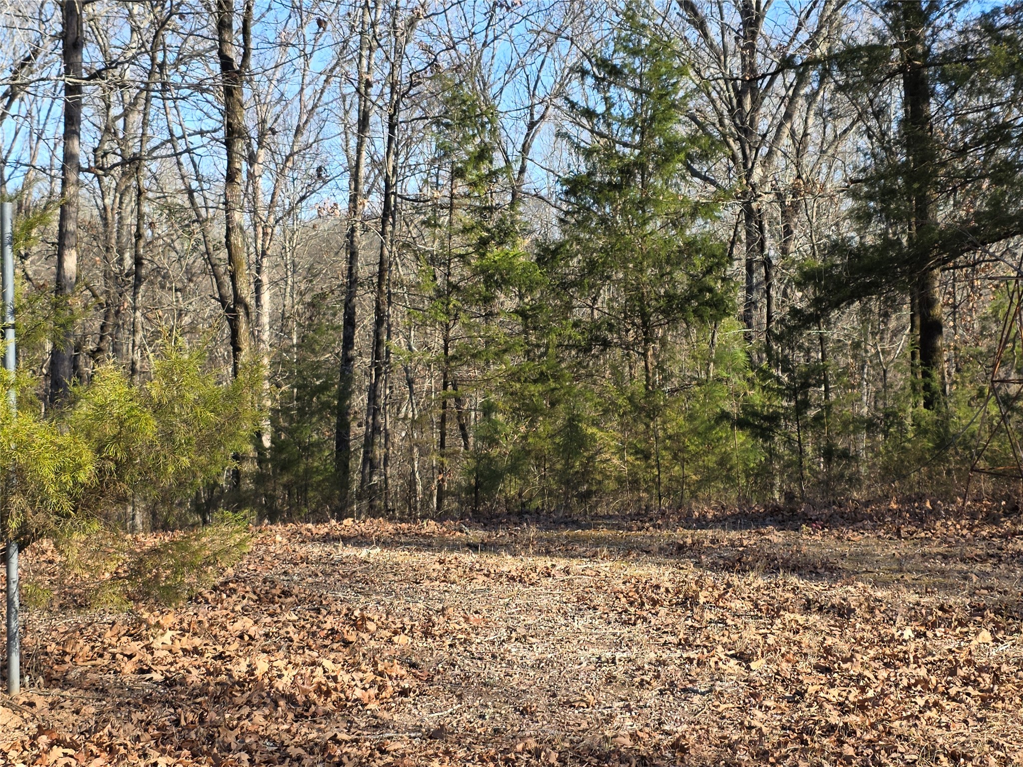 1191 County Road 3333