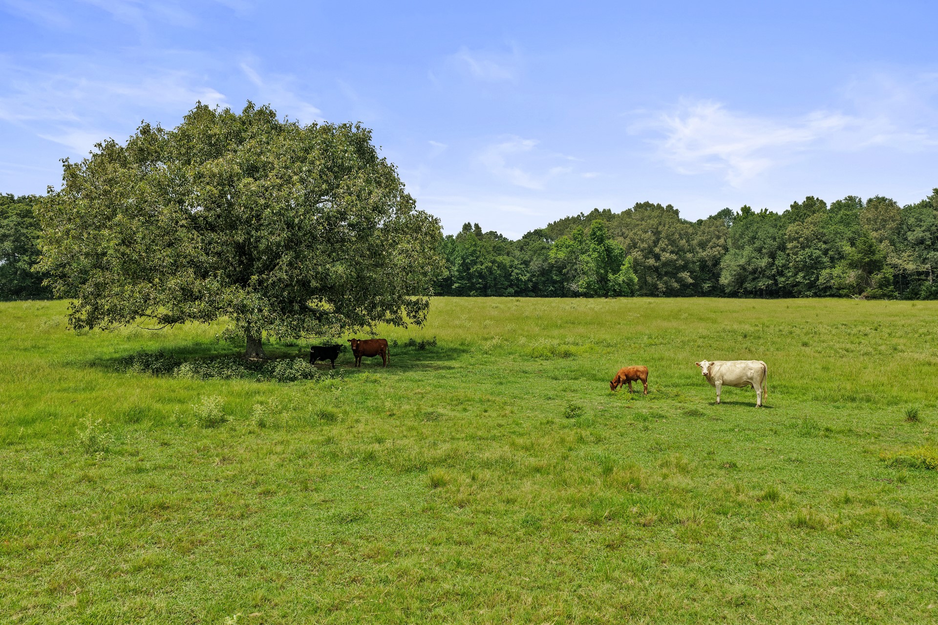 2100 County Rd 3150