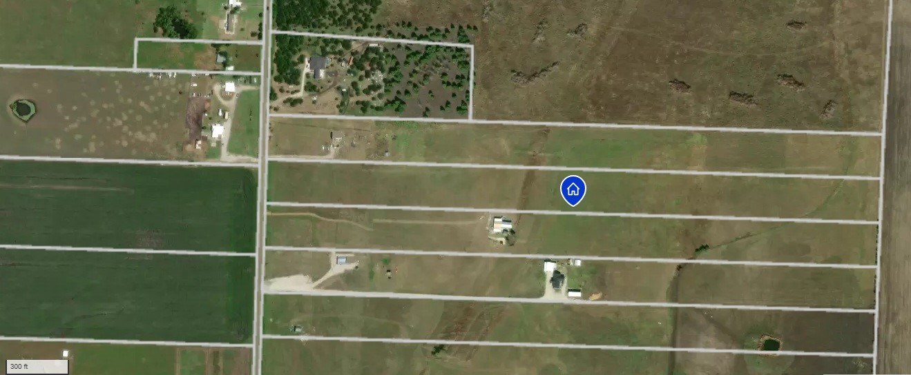 463 County Road 1063