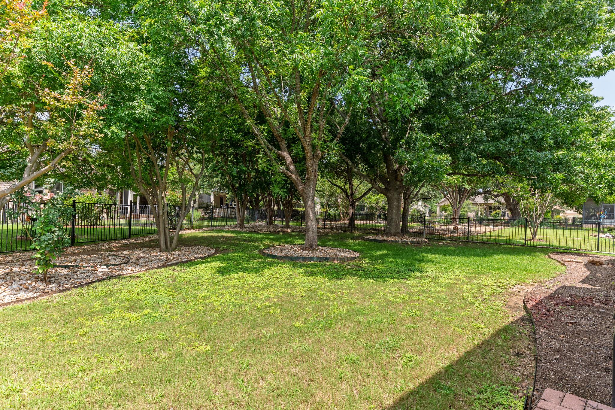107 Liatris LN